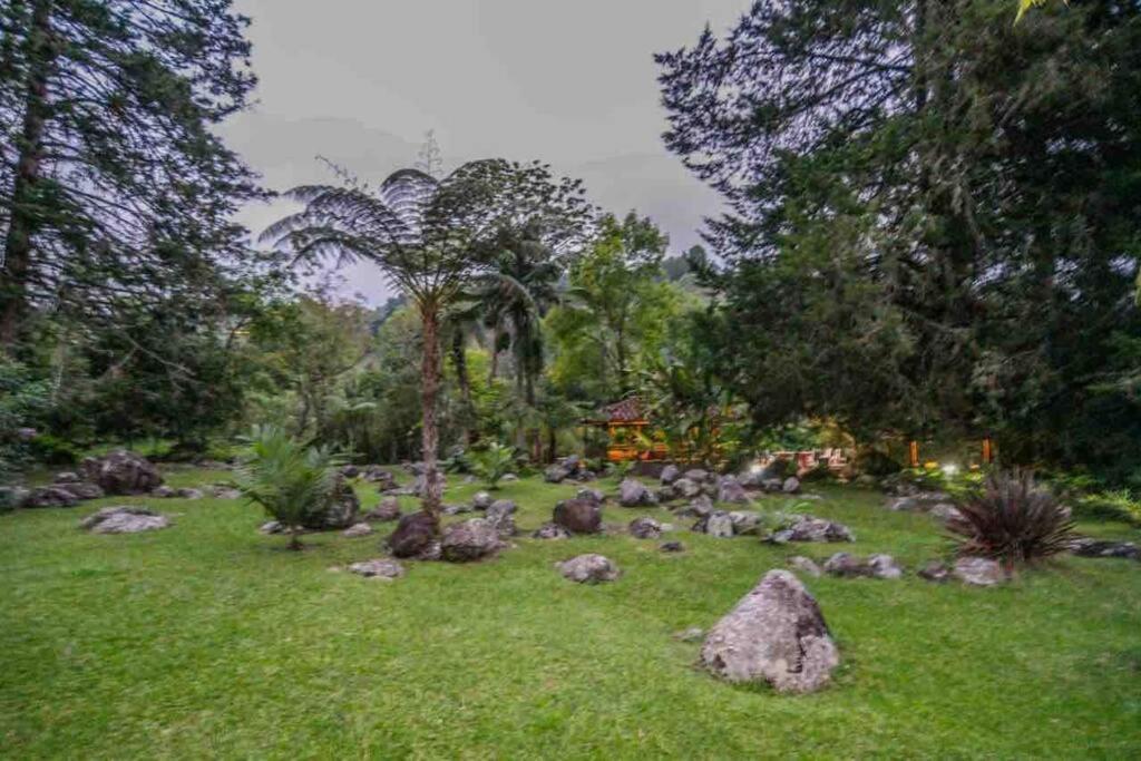 Finca Punta De Piedra Salento, Quindio Villa Dış mekan fotoğraf
