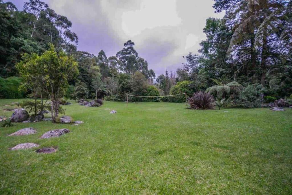 Finca Punta De Piedra Salento, Quindio Villa Dış mekan fotoğraf