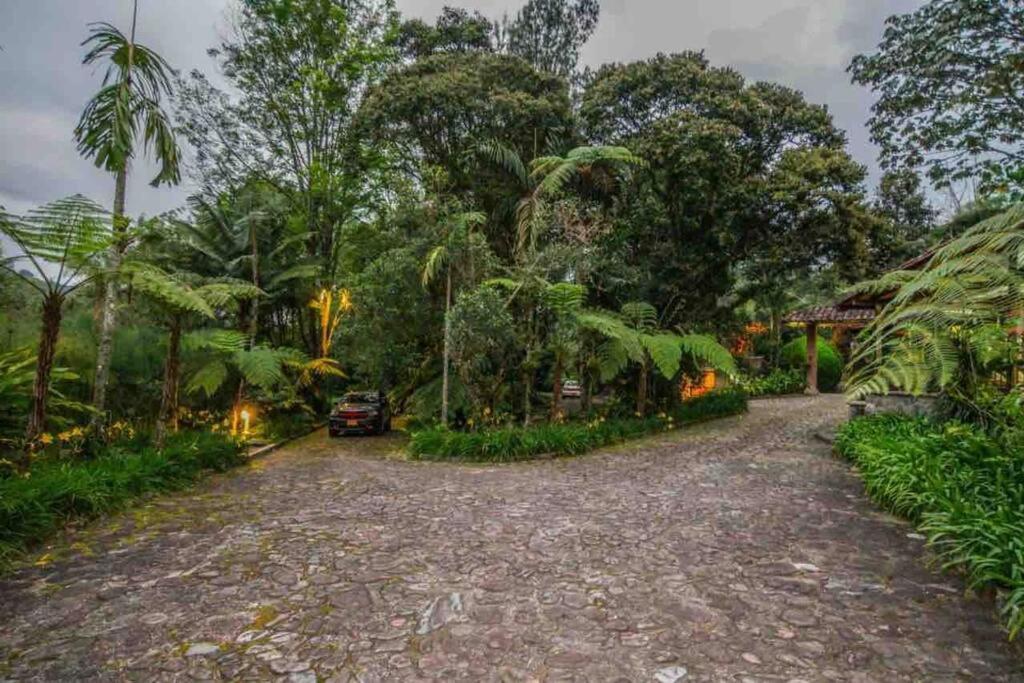 Finca Punta De Piedra Salento, Quindio Villa Dış mekan fotoğraf