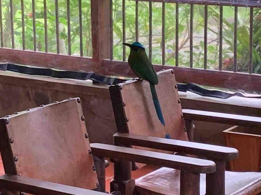 Finca Punta De Piedra Salento, Quindio Villa Dış mekan fotoğraf
